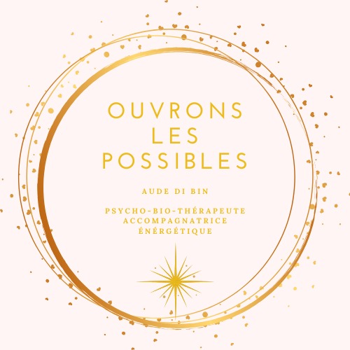 photo activite Aude Di Bin