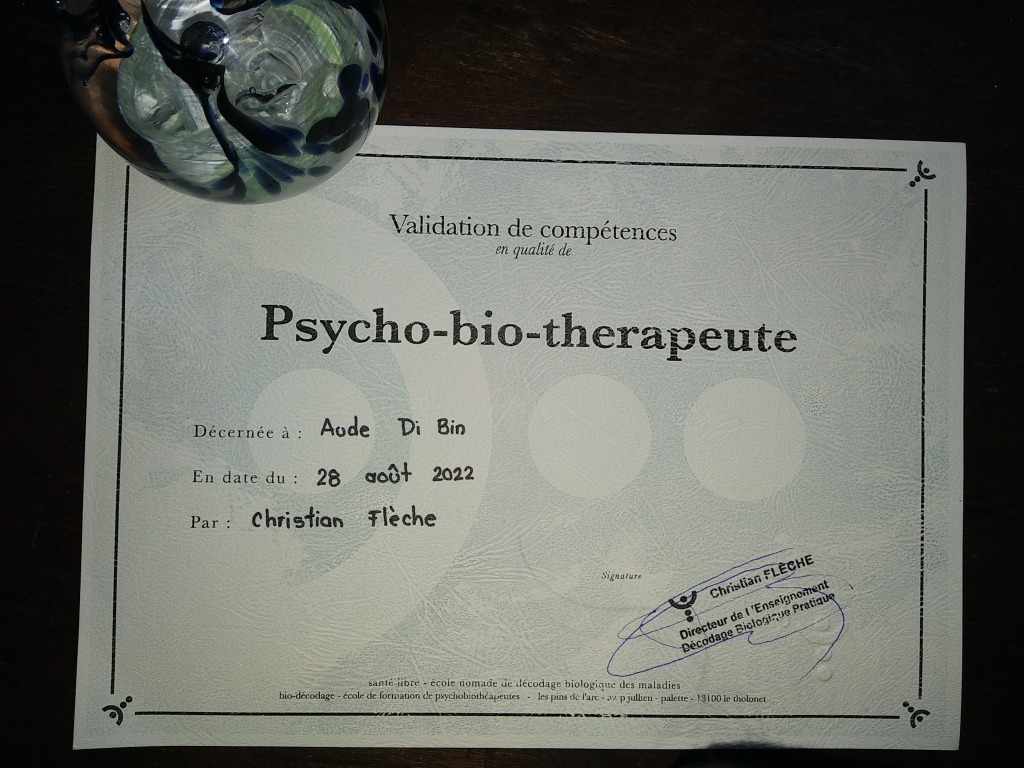 photo diplome Aude Di Bin