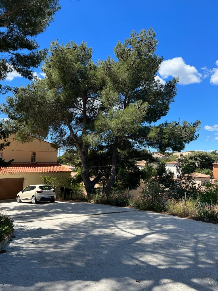 photo cabinet Morin Peggy