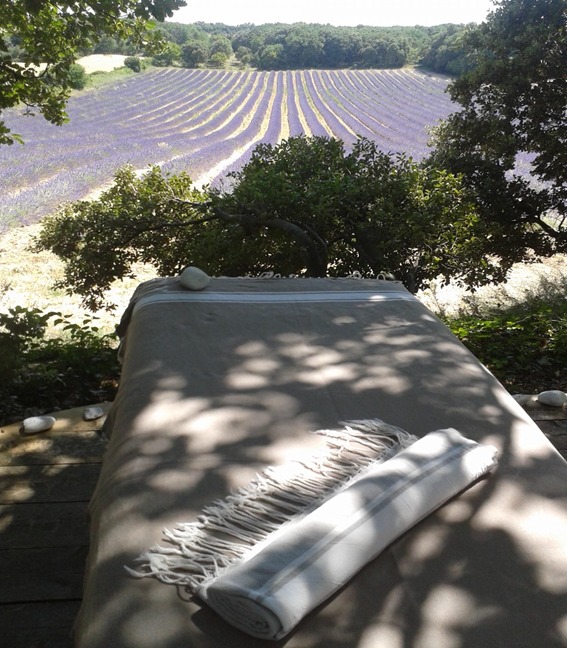 photo activite BERLAND Patrick