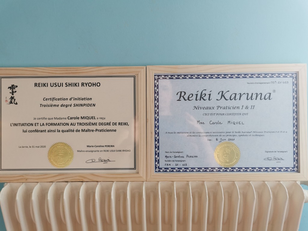 photo diplome Carole Miquel