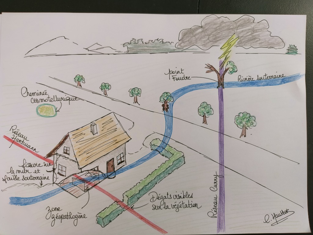 photo activite Charlotte Hautbois