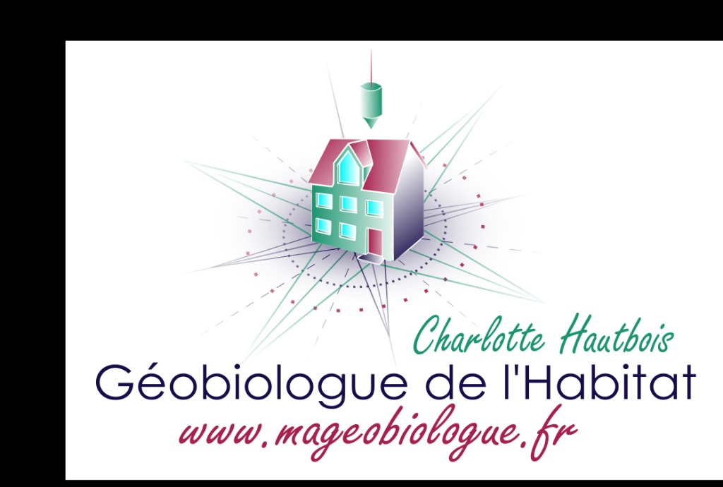 photo cabinet Charlotte Hautbois