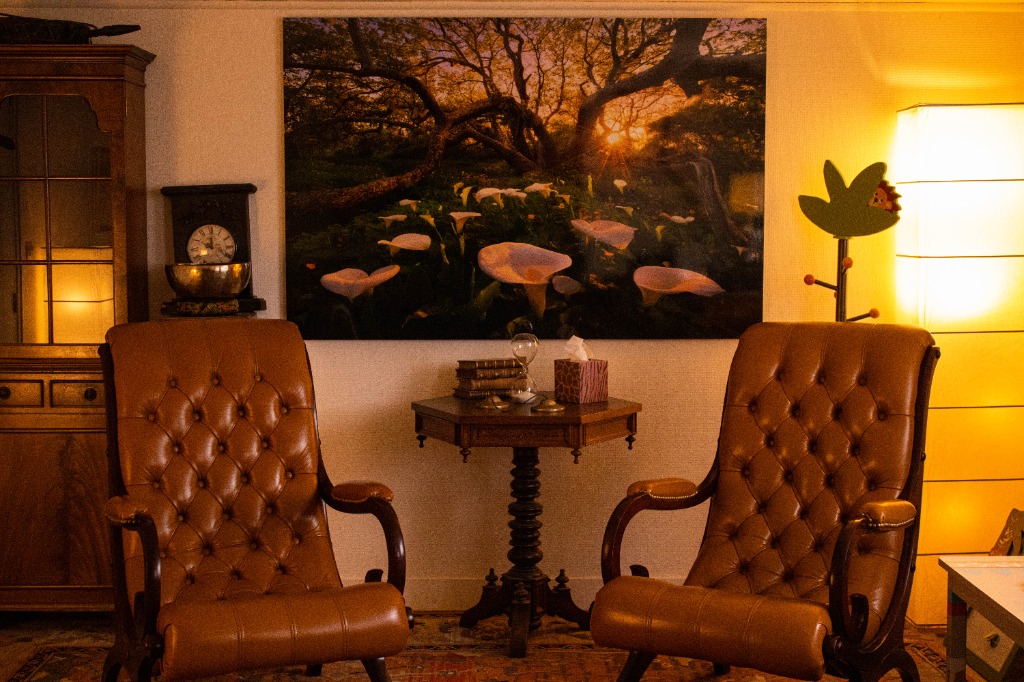 photo cabinet Sarah Gardoni Hypnose