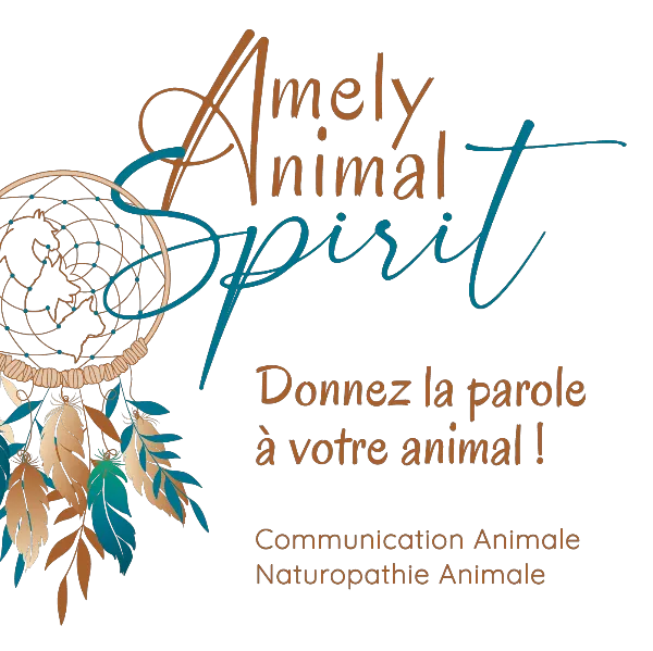 Amely AnimalSpirit
