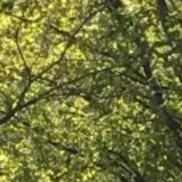 ALHENA-Géobioénergie