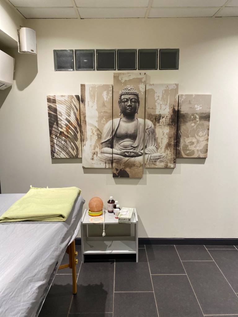 photo cabinet Camille Lapouge