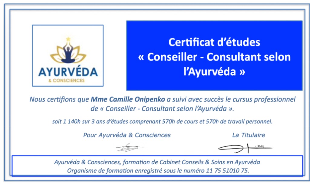 photo diplome Camille Holiveda