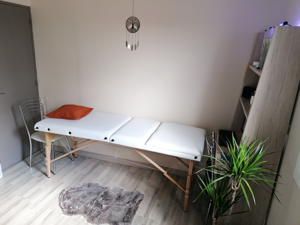 photo seance RenoulTénergies