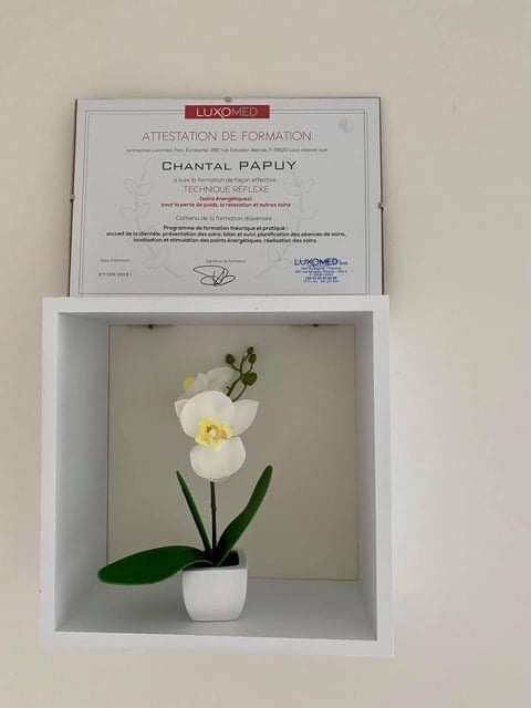 photo diplome Cabinet de luxopuncture Chantal Papuy