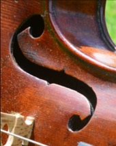 photo activite MUSIQUALITES