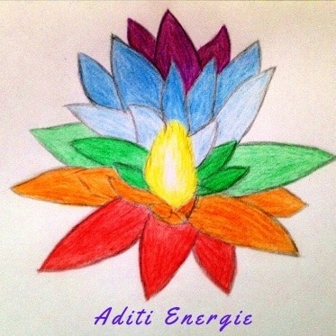 photo cabinet ADITI ENERGIE