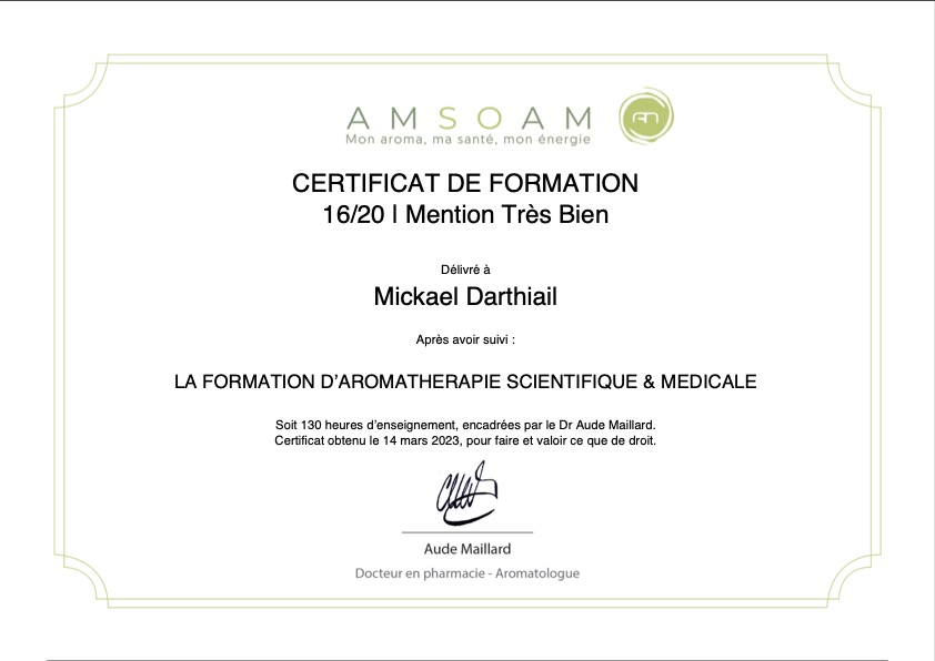 photo diplome Mickael Darthiail