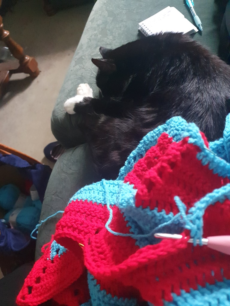 photo cabinet Detente atypique