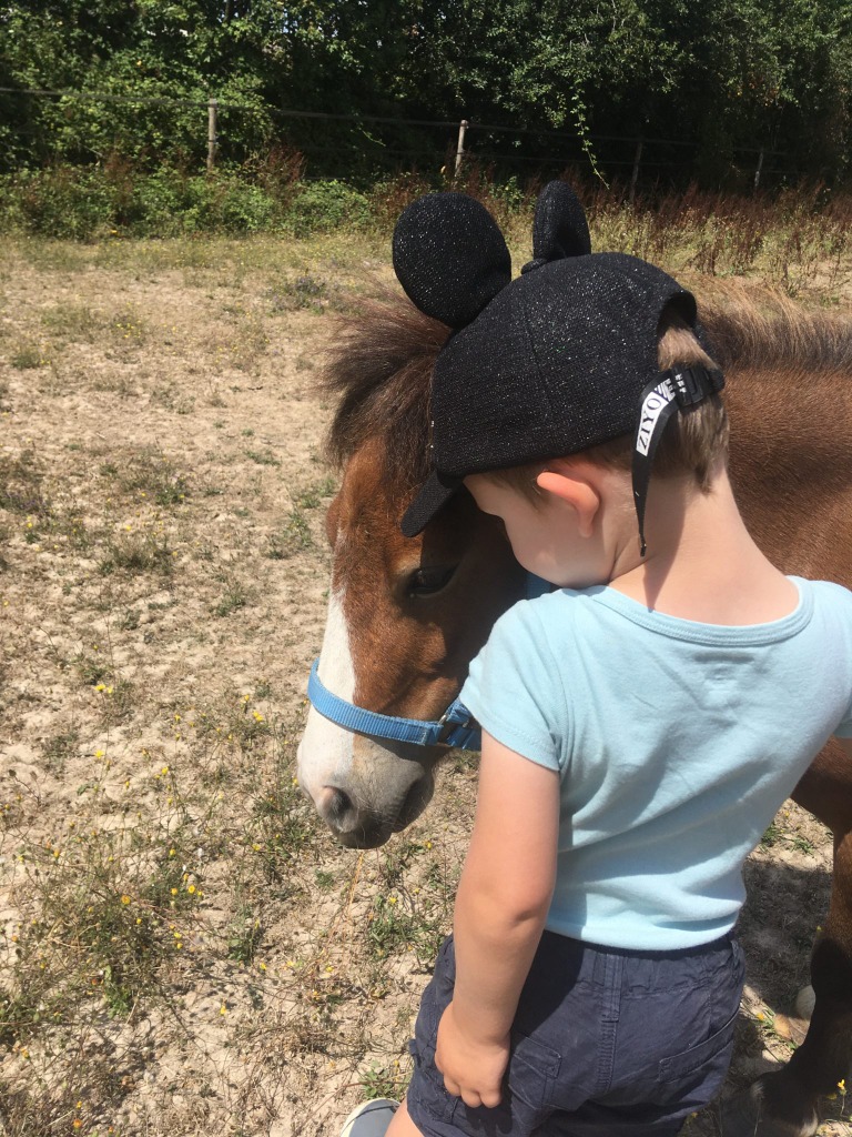 photo seance Regards Pluriels Equicoaching