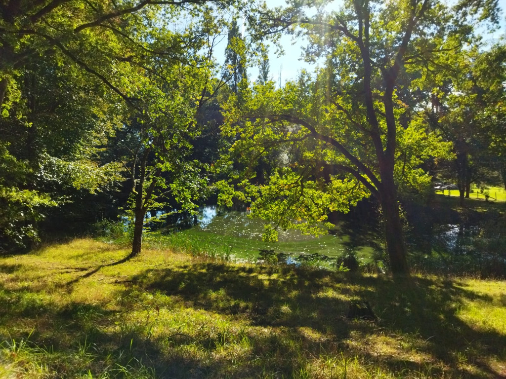 photo cabinet Beatrice Thibault