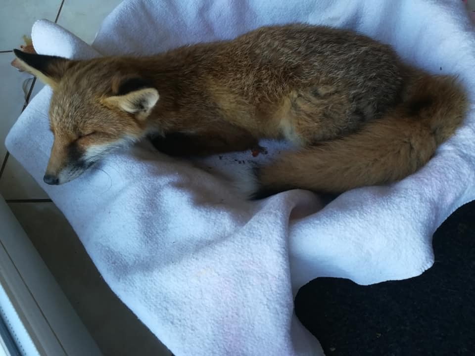 photo activite Maryline Selva