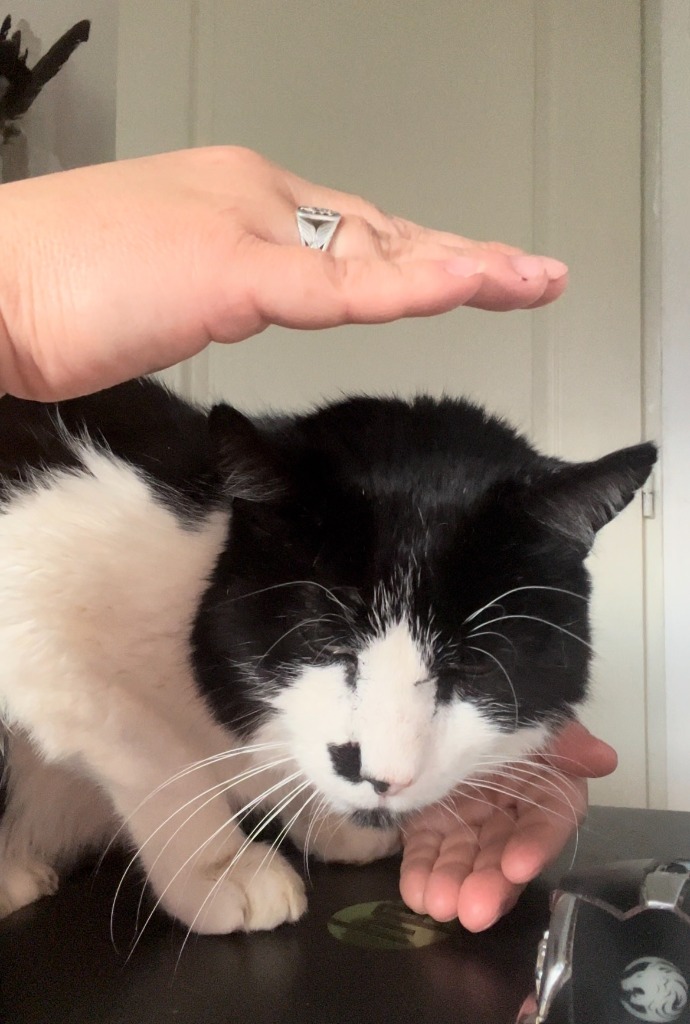 photo seance Maryline Selva