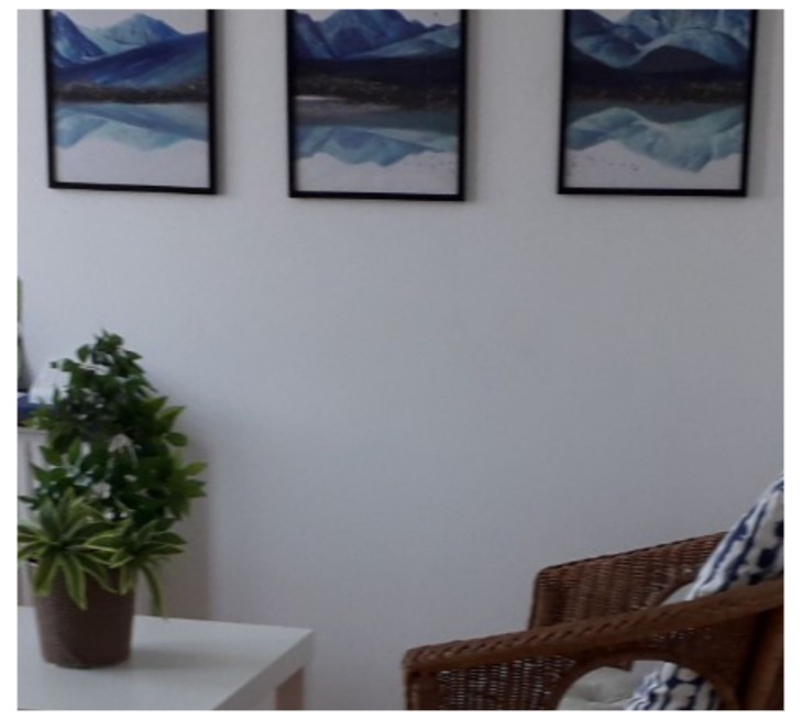 photo cabinet ROBIN-JUMET CHANTAL