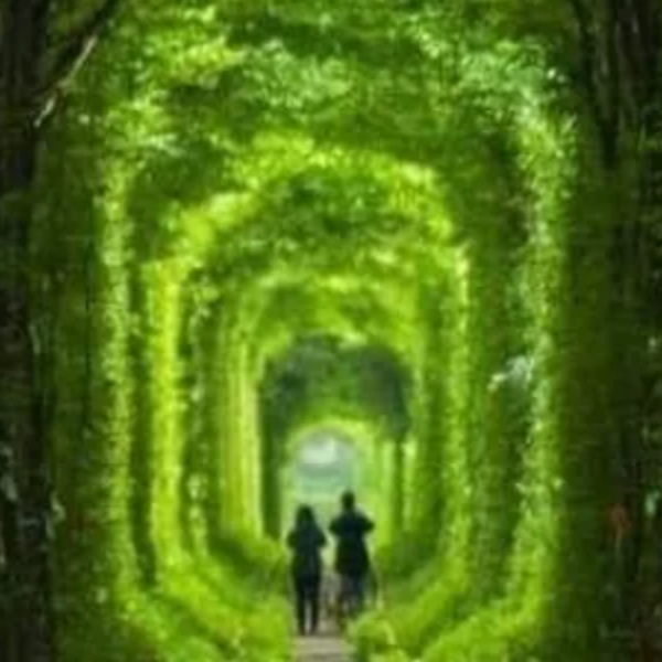 Murielle Boulard - SOPHROLOGUE - THÉRAPEUTE - PSYC