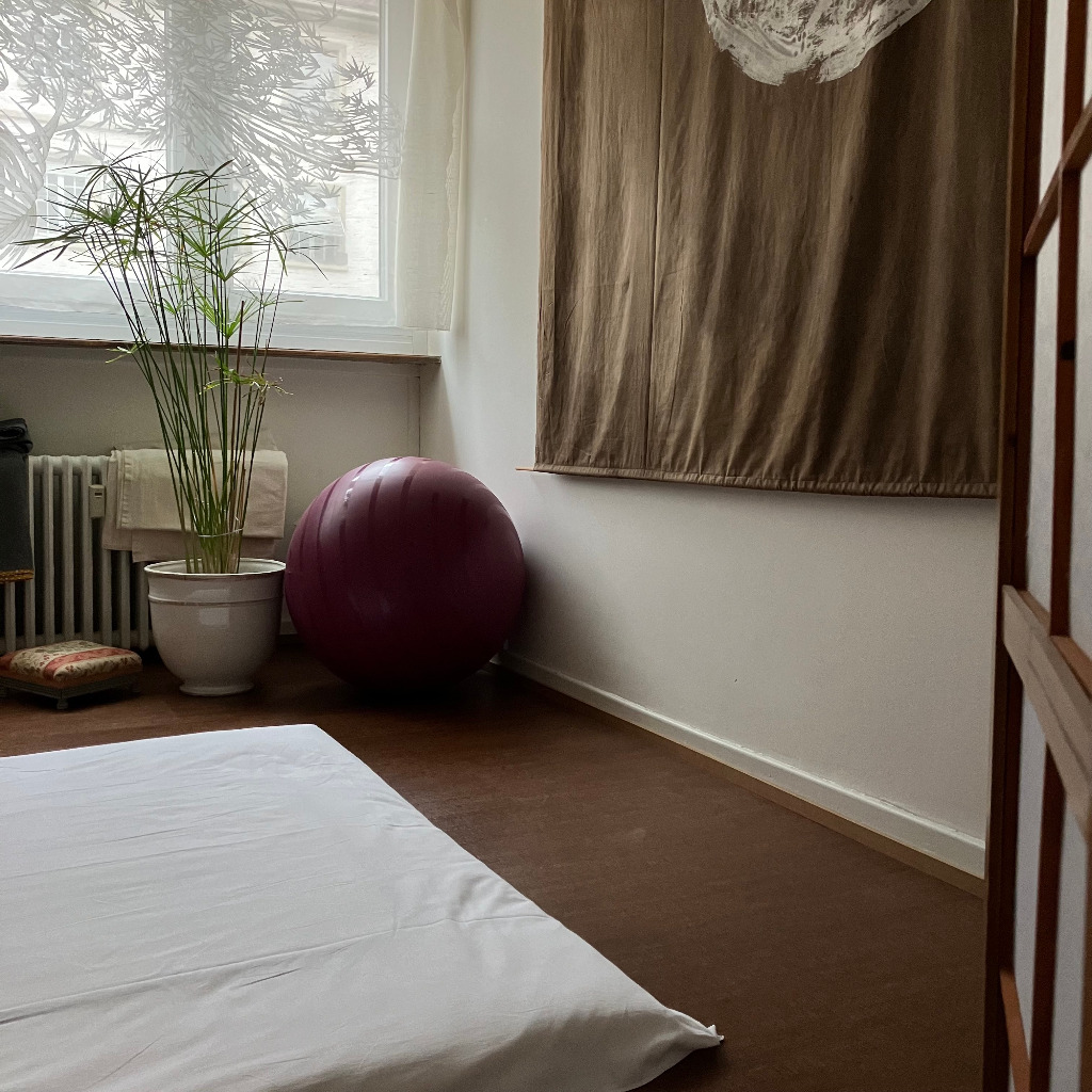 photo cabinet Grégoire Deslandes