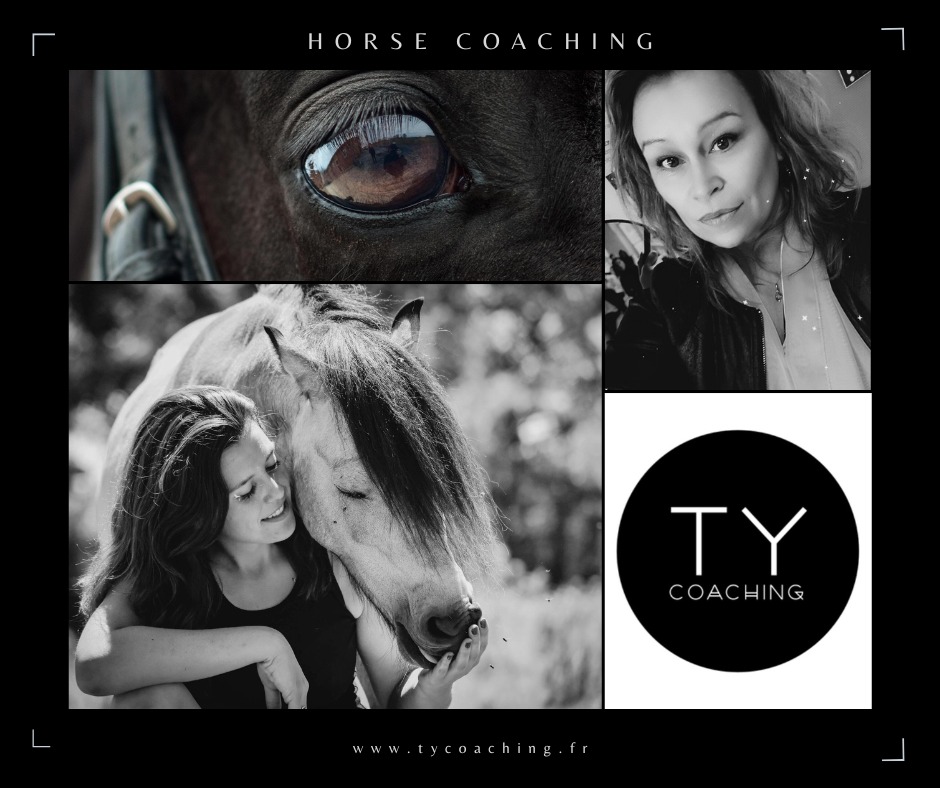 photo portrait Ty Coaching 