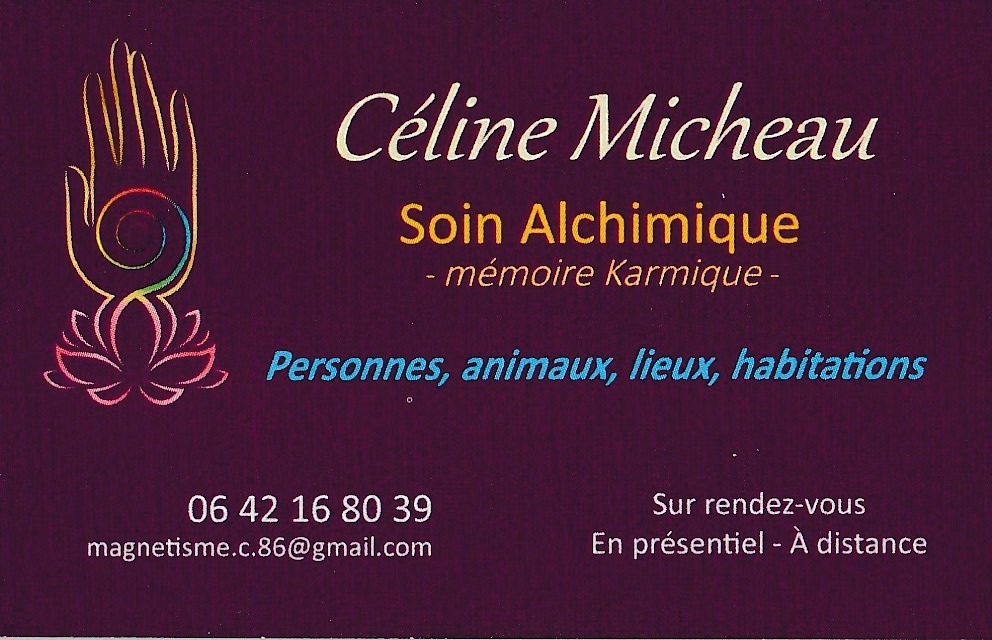 photo activite Celine MICHEAU
