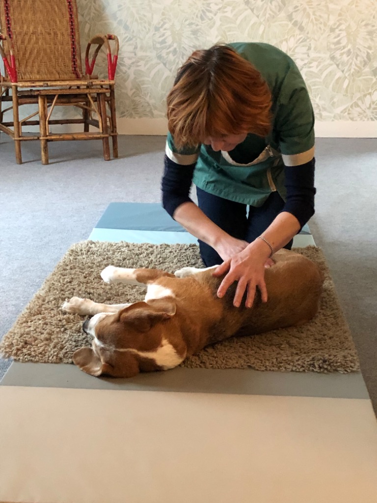 photo seance O’CanyZen