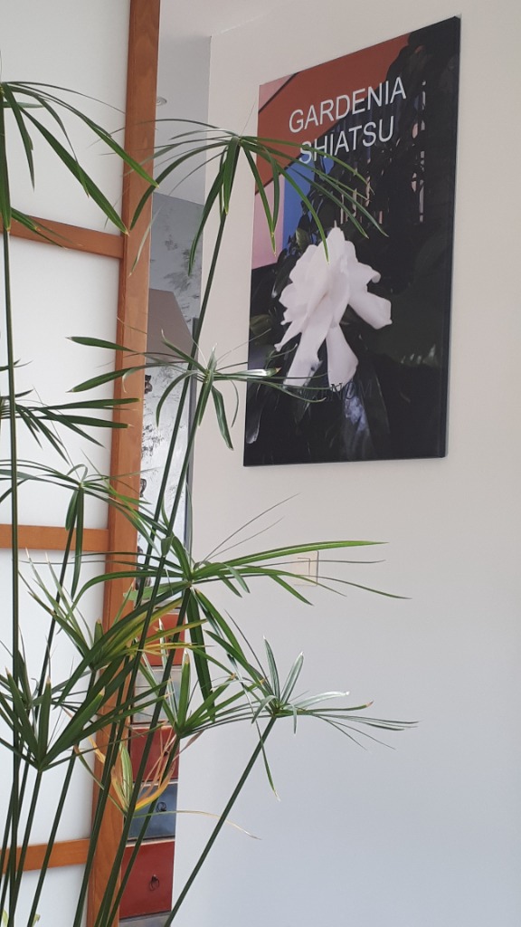 photo cabinet Patrick Robert