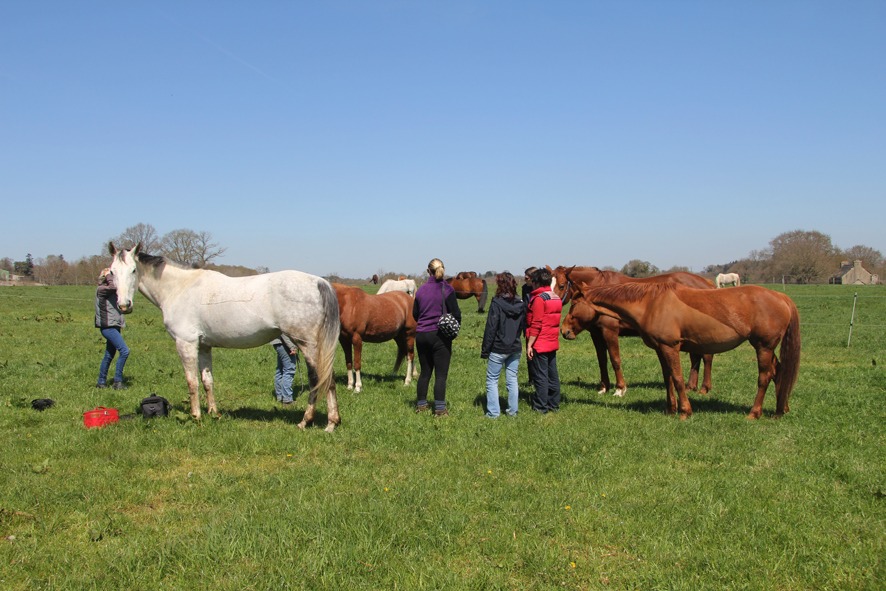 photo activite Mel Vigot Shiatsu