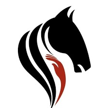 photo cabinet Mel Vigot Shiatsu