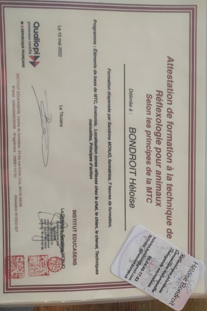 photo diplome Heloise Bondroit