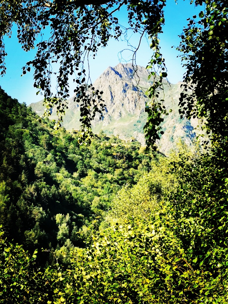 photo activite Aurore Simon