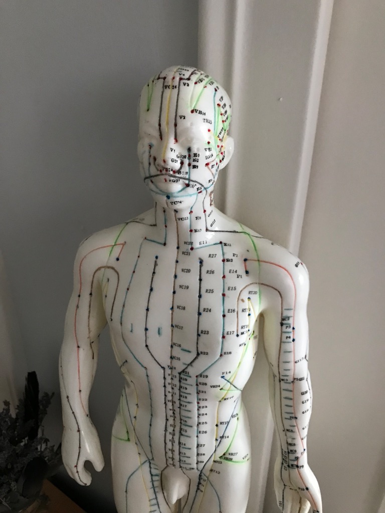 photo activite Alain GIRAUD 