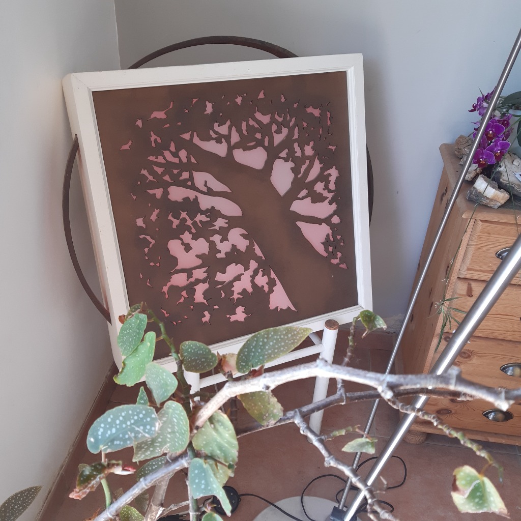 photo seance Agorathenat 