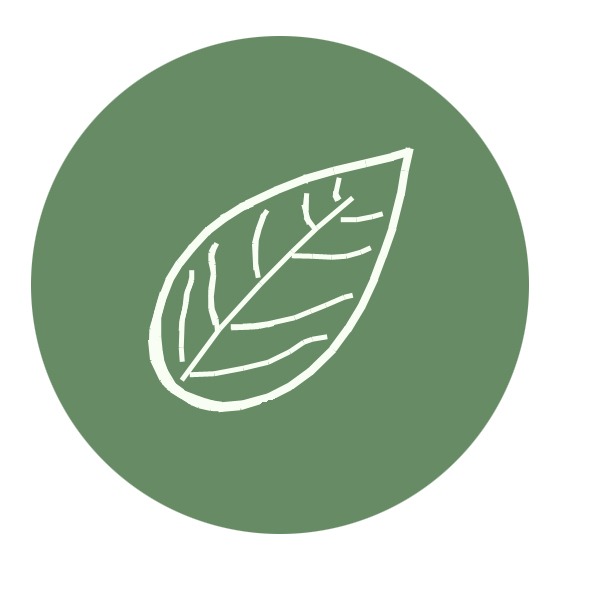 photo activite Angélique de La Bourdonnaye