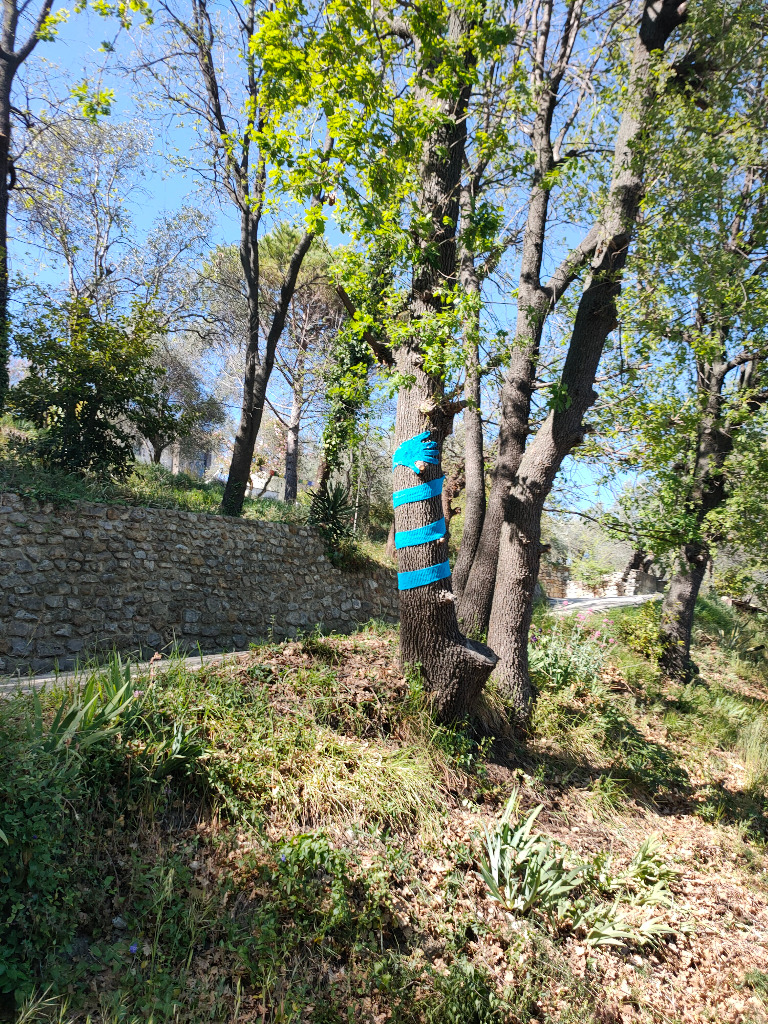 photo cabinet Catherine Kieffer - Larrouturou