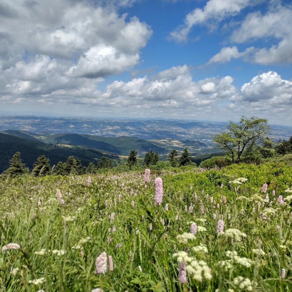 photo activite Isabelle Paillet