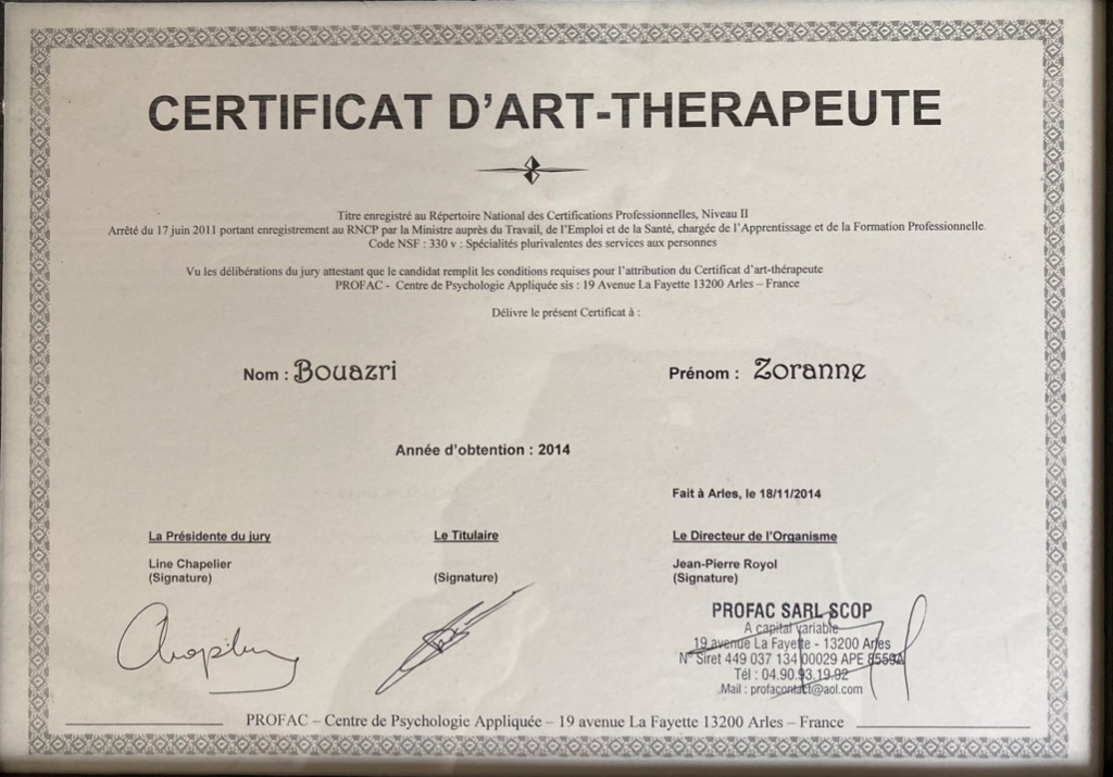 photo activite Zoran BOUAZRI