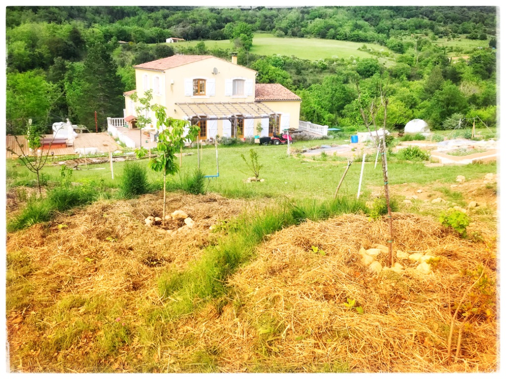 photo cabinet Centre Harmonia 