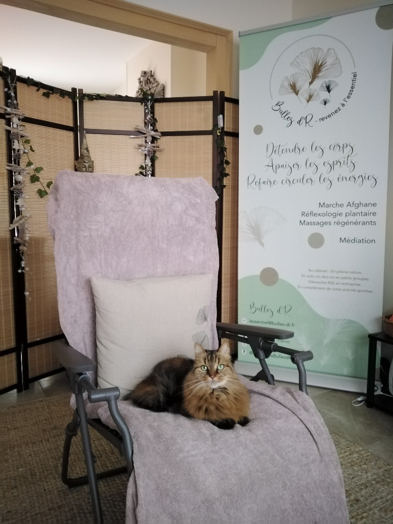 photo cabinet BULLES d’R