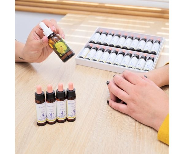 photo activite Stéphanie MIDOT