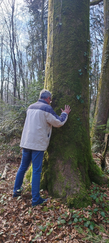 photo activite Laurent Sylvain