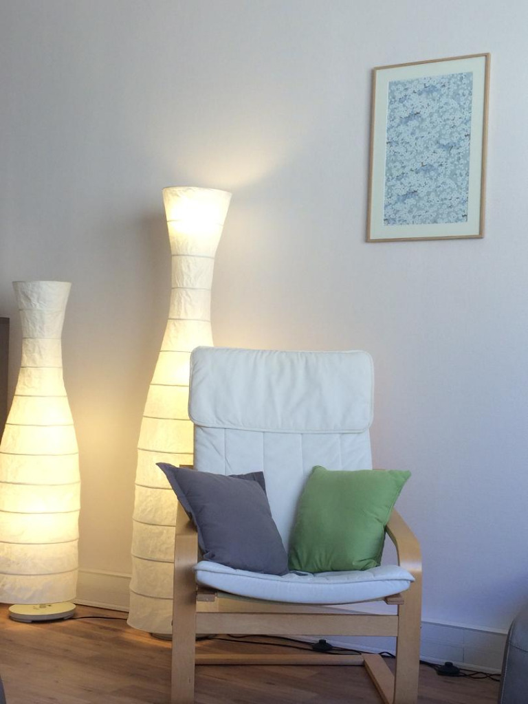 photo cabinet Chloé Vitoux-Lelièvre