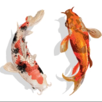 photo activite Ma Pauze Zen - Emeline