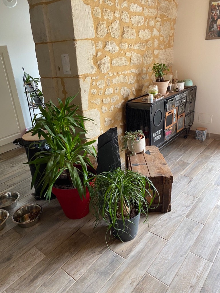 photo seance Sandrine Reeb