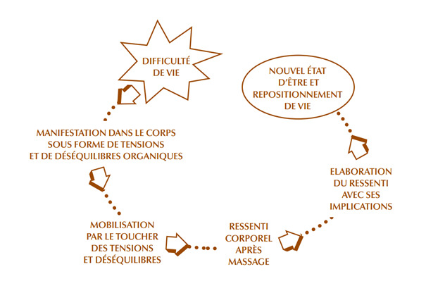 photo activite Ninon CARNOY