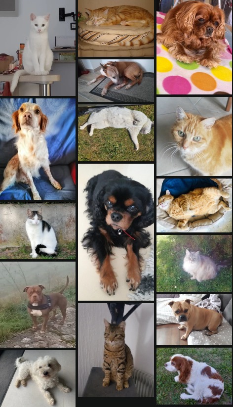 photo activite Sandrine Jahier