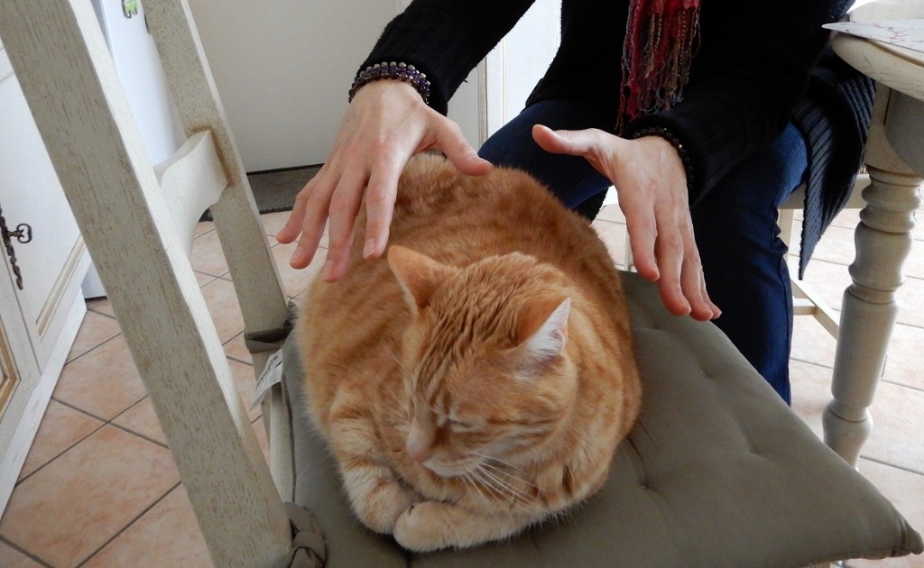 photo seance Sandrine Jahier