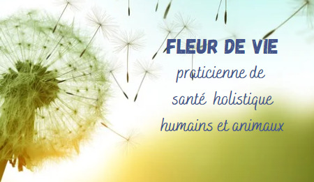 photo activite Katell PERES